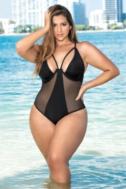 Plus Size Mesh Underwire One Piece