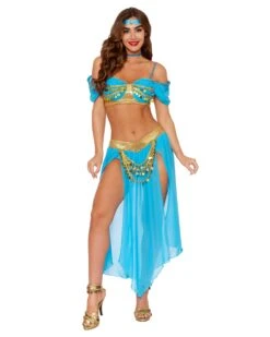 Dreamgirl Genie's Delight Costume