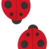 Ladybug Pasties