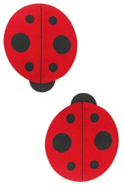Ladybug Pasties