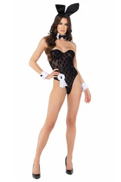 Sheer Playboy Bunny Costume -3 Wish Sexy Shop rcpb111 front 2