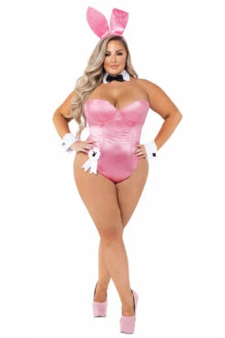 Plus Size Classic Playboy Bunny Costume -3 Wish Sexy Shop rcpb127x pink front