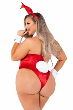 Plus Size Classic Playboy Bunny Costume -3 Wish Sexy Shop rcpb127x rced back