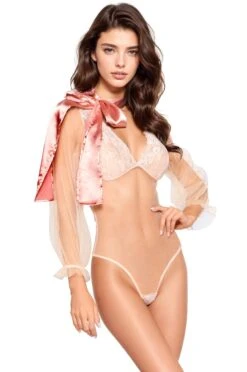 Sheer Pink Teddy With Satin Bow