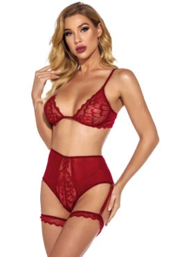 Fine Feather Mesh Bra Set 12 Fine Feather Mesh Bra Set -3 Wish Sexy Shop w1933 wine red front 1