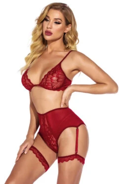 Fine Feather Mesh Bra Set 13 Fine Feather Mesh Bra Set -3 Wish Sexy Shop w1933 wine red front 2