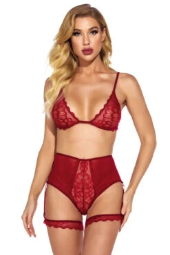 Fine Feather Mesh Bra Set 14 Fine Feather Mesh Bra Set -3 Wish Sexy Shop w1933 wine red front 4