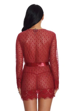 Lovely Lace Cheeky Robe 13 Lovely Lace Cheeky Robe -3 Wish Sexy Shop w3512 wine red back
