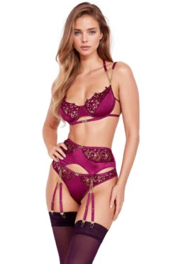 Embroidered Lace And Satin Bra Set -3 Wish Sexy Shop w7UFps m5HatsJ