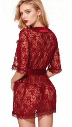 Lace Short Sleeve Lingerie Robe -3 Wish Sexy Shop wDulSes 3RYETY72pS2thw